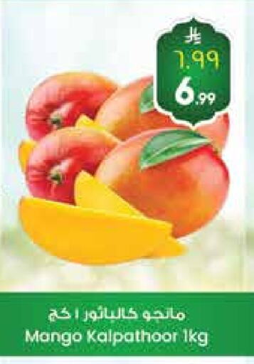 Mangoes available at City Flower in KSA, Saudi Arabia, Saudi - Jubail