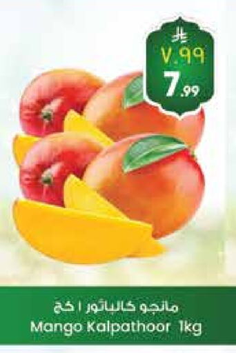 Mangoes available at City Flower in KSA, Saudi Arabia, Saudi - Hail