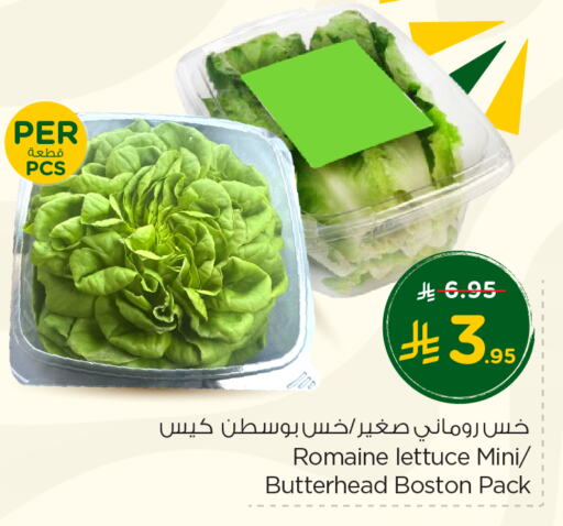Fresh Vegetables in Nesto, Saudi Arabia Offers - Saudi Arabia Lettuce available at Nesto in KSA, Saudi Arabia, Saudi - Buraidah