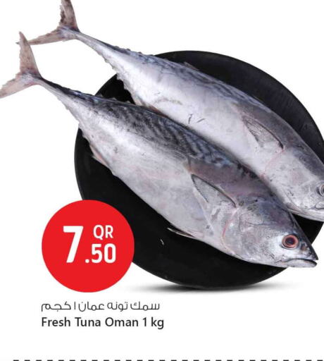 تونة available at سفاري هايبر ماركت in قطر - أم صلال