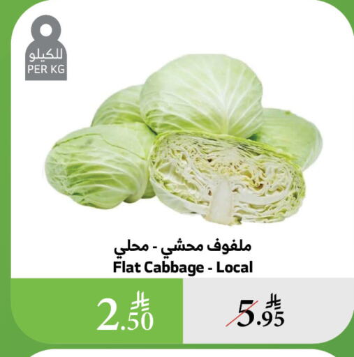 الخضروات الطازجة in الراية, المملكة العربية السعودية Offers - المملكة العربية السعودية كرنب available at الراية in مملكة العربية السعودية, السعودية, سعودية - الباحة