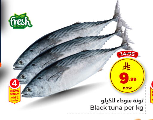 الأسماك الطازجة in هايبر الوفاء, المملكة العربية السعودية Offers - المملكة العربية السعودية تونة available at هايبر الوفاء in مملكة العربية السعودية, السعودية, سعودية - جدة