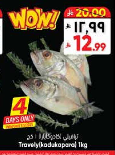available at City Flower in KSA, Saudi Arabia, Saudi - Sakaka