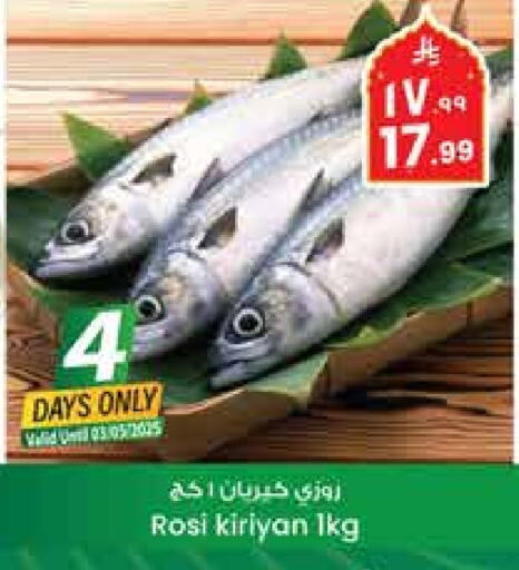 available at City Flower in KSA, Saudi Arabia, Saudi - Sakaka
