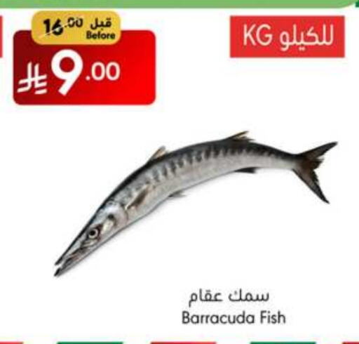 الأسماك الطازجة in مانويل ماركت, المملكة العربية السعودية Offers - المملكة العربية السعودية available at مانويل ماركت in مملكة العربية السعودية, السعودية, سعودية - جدة
