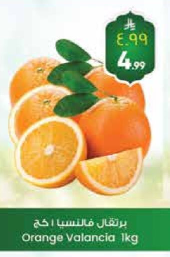 Orange from Valancia available at City Flower in KSA, Saudi Arabia, Saudi - Hail