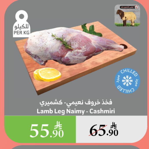 لحم الضأن / الغنم available at الراية in مملكة العربية السعودية, السعودية, سعودية - بيشة
