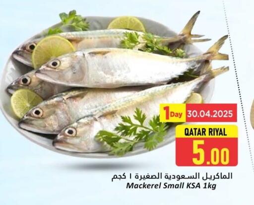 available at دانة هايبرماركت in قطر - أم صلال