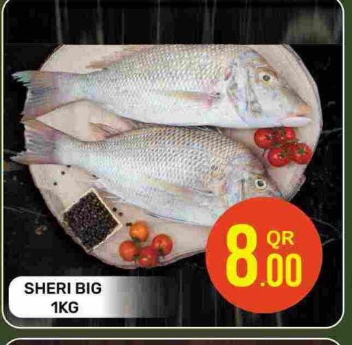 available at Majlis Hypermarket in Qatar - Al Rayyan
