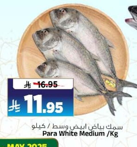 Fresh Fish in Al Madina Hypermarket, Saudi Arabia Offers - Saudi Arabia available at Al Madina Hypermarket in KSA, Saudi Arabia, Saudi - Riyadh