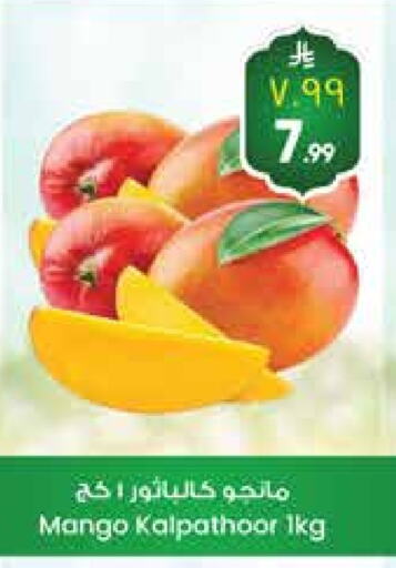 Mangoes available at City Flower in KSA, Saudi Arabia, Saudi - Sakaka