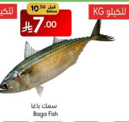 الأسماك الطازجة in مانويل ماركت, المملكة العربية السعودية Offers - المملكة العربية السعودية available at مانويل ماركت in مملكة العربية السعودية, السعودية, سعودية - جدة