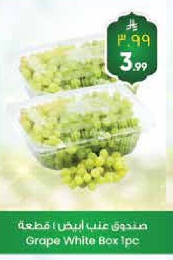 Grapes available at City Flower in KSA, Saudi Arabia, Saudi - Hail
