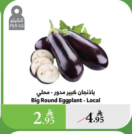 الخضروات الطازجة in الراية, المملكة العربية السعودية Offers - المملكة العربية السعودية Eggplant available at الراية in مملكة العربية السعودية, السعودية, سعودية - الباحة