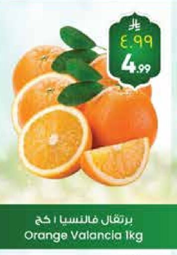 Orange from Valancia available at City Flower in KSA, Saudi Arabia, Saudi - Sakaka