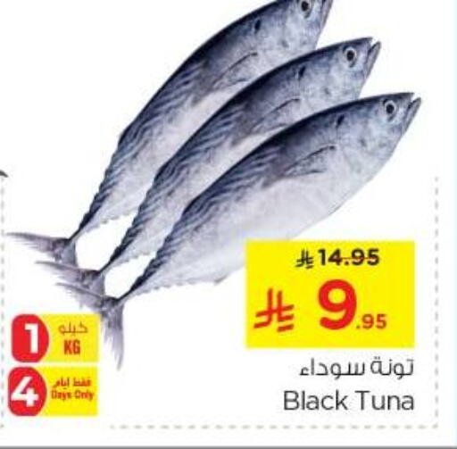 Fresh Fish in Nesto, Saudi Arabia Offers - Saudi Arabia Tuna available at Nesto in KSA, Saudi Arabia, Saudi - Riyadh