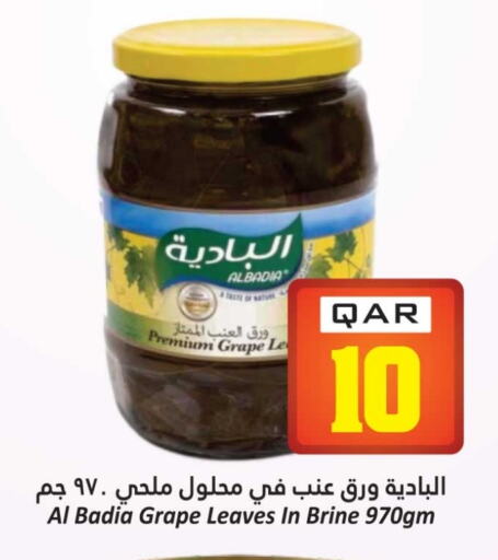 available at دانة هايبرماركت in قطر - الريان