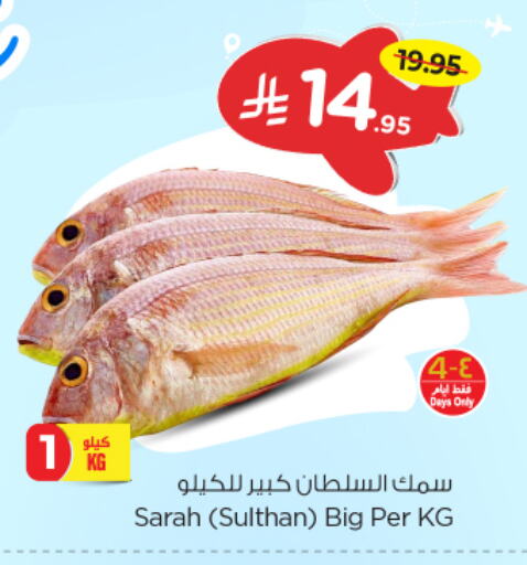 Fresh Fish in Nesto, Saudi Arabia Offers - Saudi Arabia available at Nesto in KSA, Saudi Arabia, Saudi - Dammam