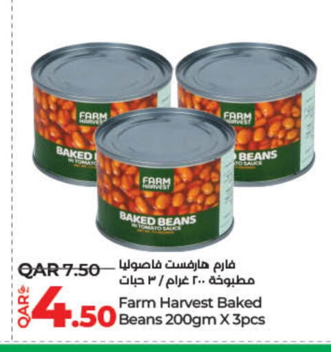 فاصوليا مخبوزة available at لولو هايبرماركت in قطر - الخور