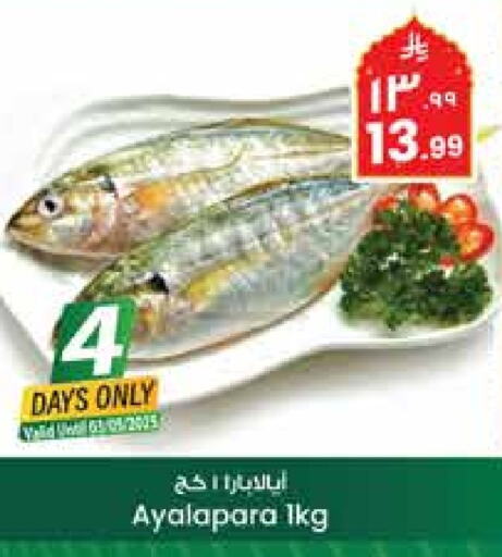 available at City Flower in KSA, Saudi Arabia, Saudi - Sakaka