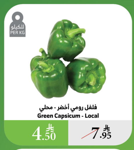 الخضروات الطازجة in الراية, المملكة العربية السعودية Offers - المملكة العربية السعودية فلفل / فليفلة available at الراية in مملكة العربية السعودية, السعودية, سعودية - الباحة