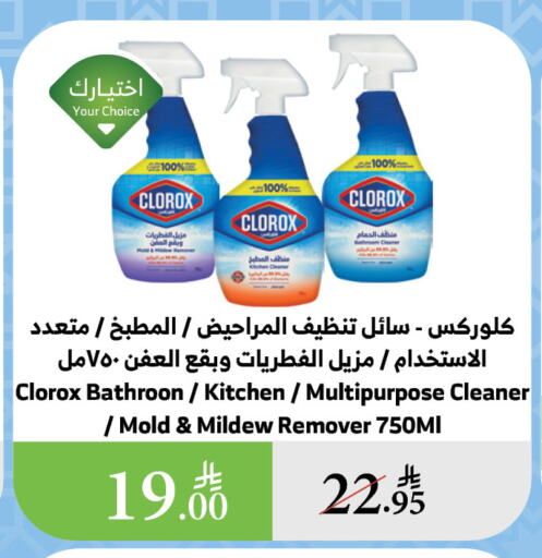 تنظيف in الراية, المملكة العربية السعودية Offers - المملكة العربية السعودية كلوركس منظف عام available at الراية in مملكة العربية السعودية, السعودية, سعودية - بيشة