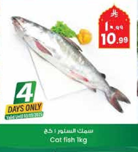 available at City Flower in KSA, Saudi Arabia, Saudi - Sakaka