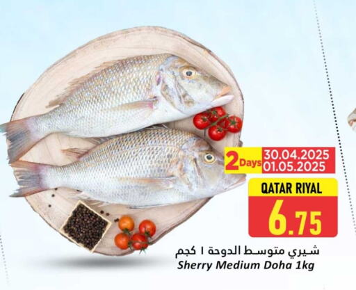 available at دانة هايبرماركت in قطر - الخور