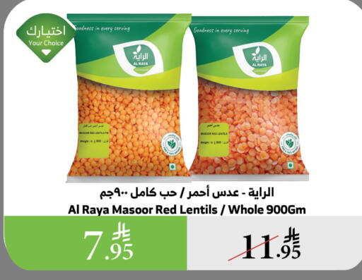 البقول، الفول والحبوب in الراية, المملكة العربية السعودية Offers - المملكة العربية السعودية available at الراية in مملكة العربية السعودية, السعودية, سعودية - الباحة