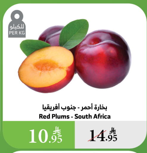 Plums from South Africa available at Al Raya in KSA, Saudi Arabia, Saudi - Jazan