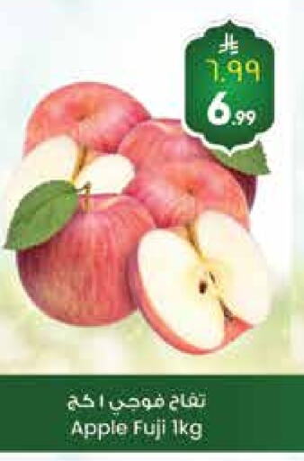 Apples available at City Flower in KSA, Saudi Arabia, Saudi - Hail