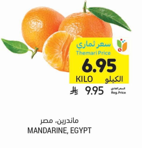 برتقال from Egypt available at أسواق التميمي in مملكة العربية السعودية, السعودية, سعودية - عنيزة