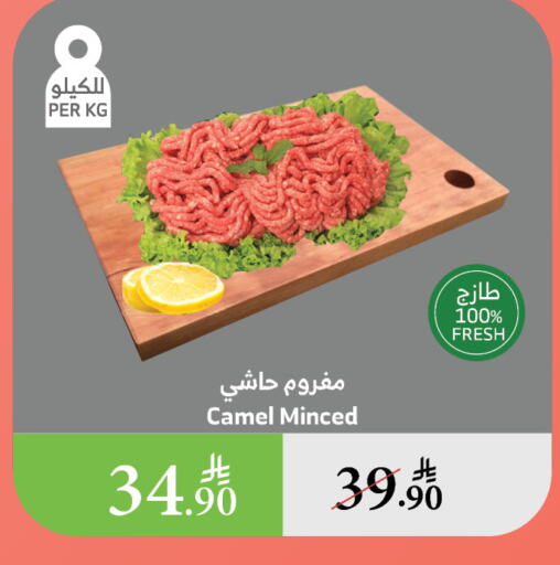 Meat - Fresh & Chilled in Al Raya, Saudi Arabia Offers - Saudi Arabia Camel meat available at Al Raya in KSA, Saudi Arabia, Saudi - Al Qunfudhah