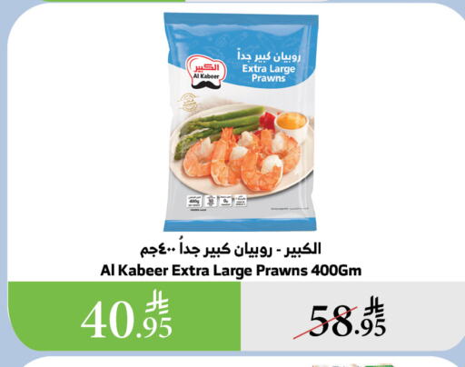 سمك مجمد in الراية, المملكة العربية السعودية Offers - المملكة العربية السعودية الكبير available at الراية in مملكة العربية السعودية, السعودية, سعودية - الباحة