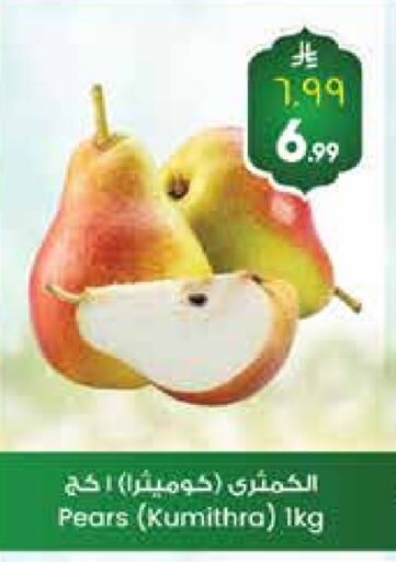 available at City Flower in KSA, Saudi Arabia, Saudi - Sakaka