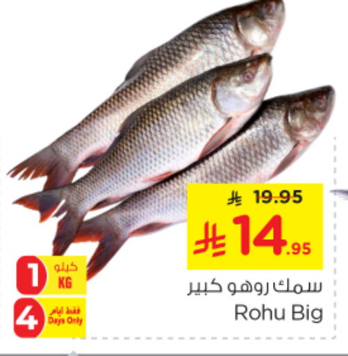 Fresh Fish in Nesto, Saudi Arabia Offers - Saudi Arabia available at Nesto in KSA, Saudi Arabia, Saudi - Al-Kharj