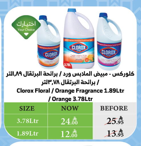 تنظيف in الراية, المملكة العربية السعودية Offers - المملكة العربية السعودية كلوركس منظف عام available at الراية in مملكة العربية السعودية, السعودية, سعودية - بيشة