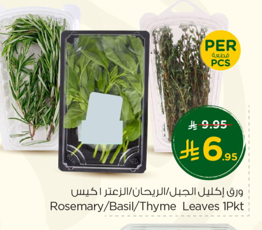 Fresh Vegetables in Nesto, Saudi Arabia Offers - Saudi Arabia Rosemary Basil Thyme available at Nesto in KSA, Saudi Arabia, Saudi - Buraidah