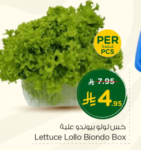 Fresh Vegetables in Nesto, Saudi Arabia Offers - Saudi Arabia Lettuce available at Nesto in KSA, Saudi Arabia, Saudi - Buraidah