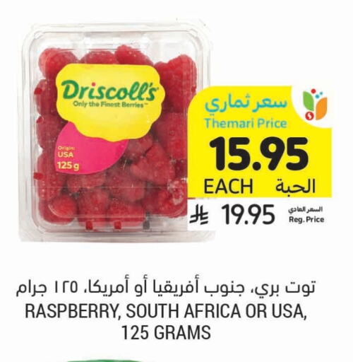 توت from South Africa available at أسواق التميمي in مملكة العربية السعودية, السعودية, سعودية - عنيزة