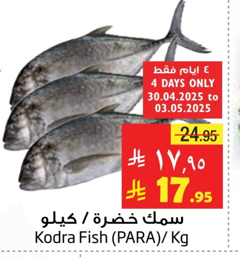 Fresh Fish in Layan Hyper, Saudi Arabia Offers - Saudi Arabia available at Layan Hyper in KSA, Saudi Arabia, Saudi - Dammam