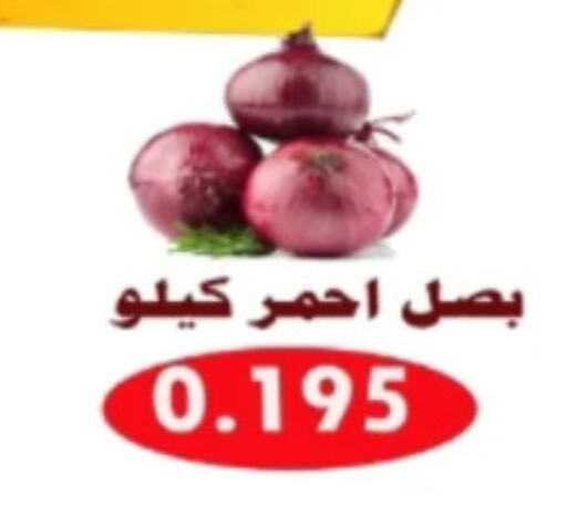 Onion available at Al Ahmadi Cooperative Society in Kuwait - Ahmadi Governorate