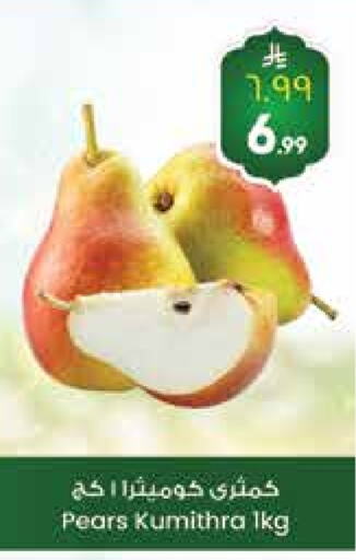 Pear available at City Flower in KSA, Saudi Arabia, Saudi - Hail