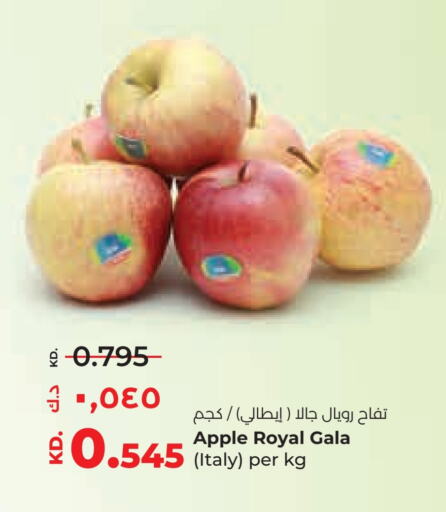 Fresh Fruits in Lulu Hypermarket , Kuwait Offers - Kuwait Apples from Italy available at Lulu Hypermarket in Kuwait - Ahmadi Governorate