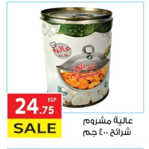 Canned & Packeted in El Mahallawy Market , Egypt Offers - Egypt available at El Mahallawy Market in Egypt - Cairo