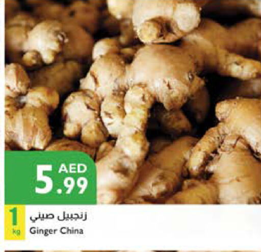 الخضروات الطازجة in إسطنبول سوبرماركت, UAE Offers - الإمارات العربية المتحدة زنجبيل from China available at إسطنبول سوبرماركت in الإمارات العربية المتحدة , الامارات - ٱلْعَيْن