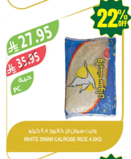 Rice in Farm , Saudi Arabia Offers - Saudi Arabia Calrose Rice available at Farm in KSA, Saudi Arabia, Saudi - Najran