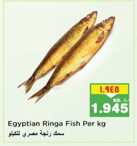 available at Nesto Hypermarkets in Kuwait - Ahmadi Governorate