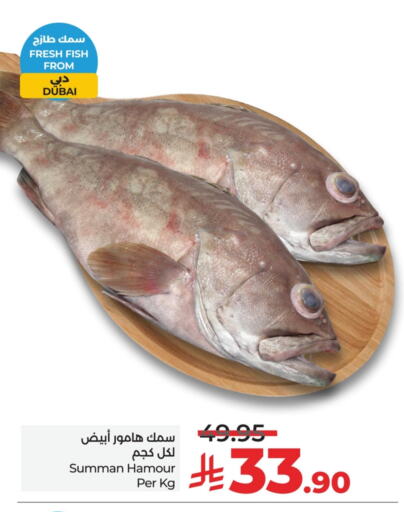 Fresh Fish in LULU Hypermarket, Saudi Arabia Offers - Saudi Arabia available at LULU Hypermarket in KSA, Saudi Arabia, Saudi - Dammam