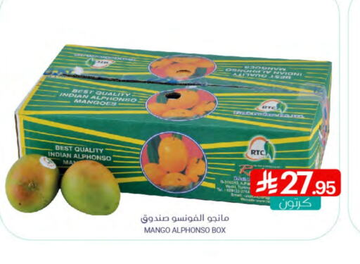 Mango available at Muntazah Markets in KSA, Saudi Arabia, Saudi - Saihat